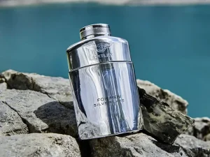 Bentley For Men Silverlake Eau de Parfum 100ml Spray